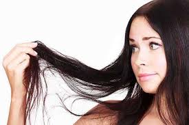 Hair Fall Control Agent